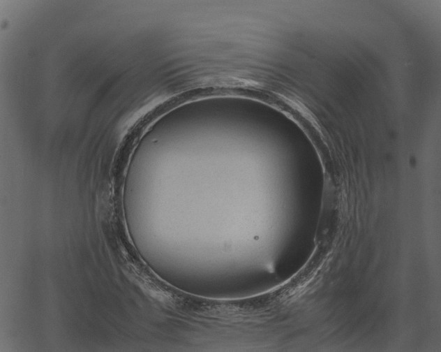 X0000066940971200603311413