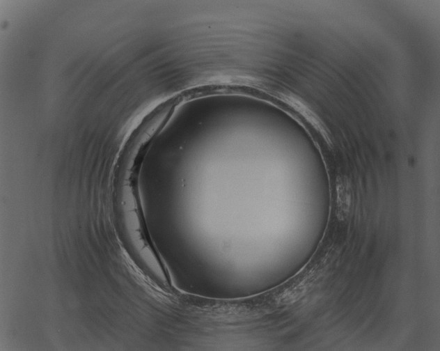 X0000066940972200603311413