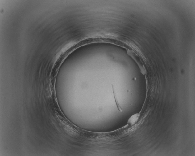 X0000066940974200603311413