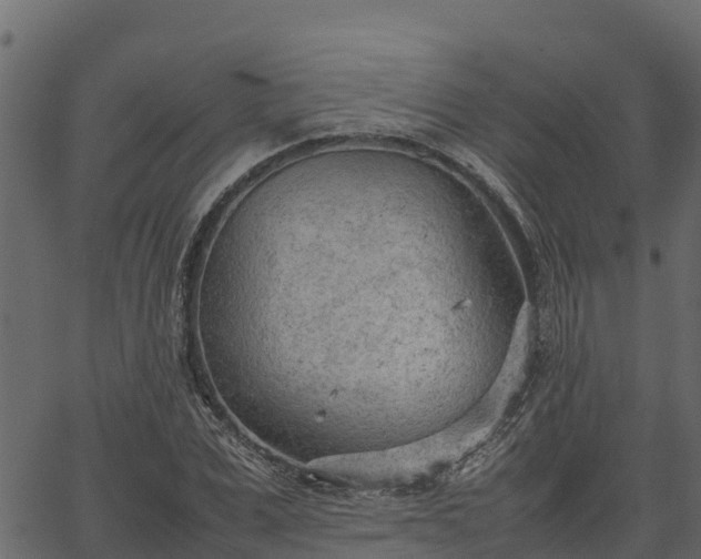 X0000066940975200603311413