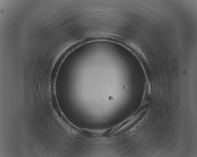 X0000066940976200603311413