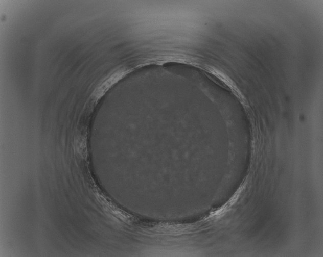 X0000066940977200603311413