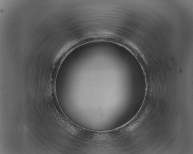 X0000066940978200603311413