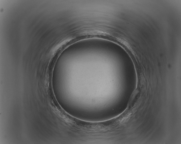 X0000066940979200603311413