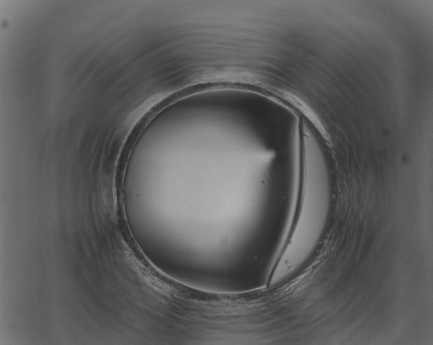 X0000066940980200603311413