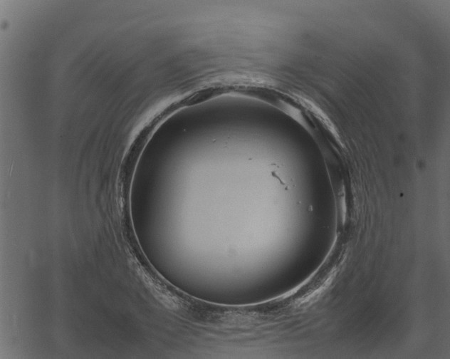 X0000066940981200603311413