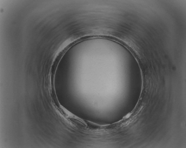 X0000066940982200603311413