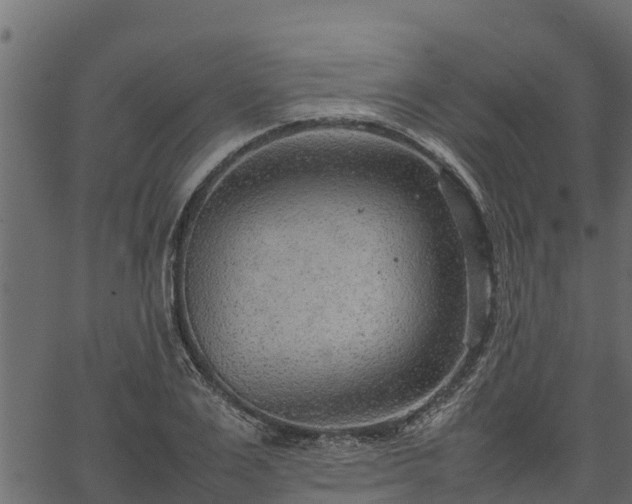 X0000066940983200603311413