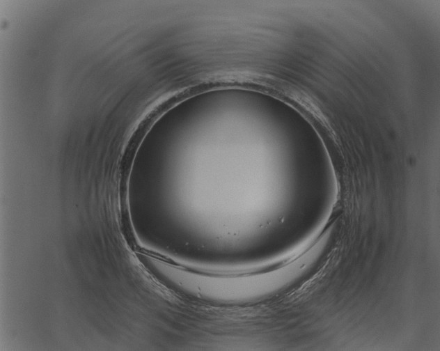 X0000066940984200603311413