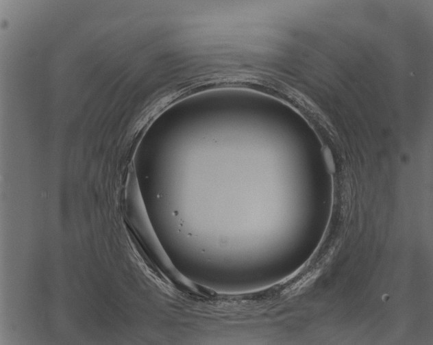 X0000066940985200603311413