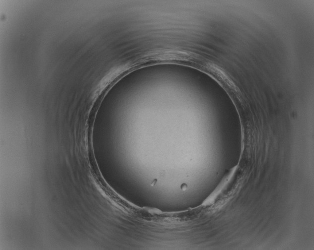 X0000066940986200603311413