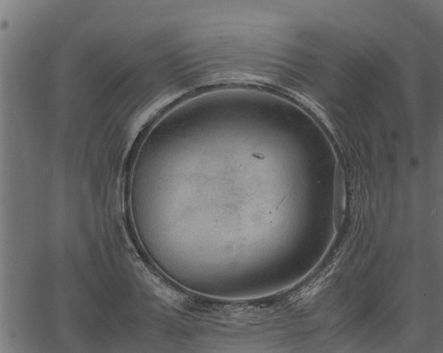 X0000066940987200603311413