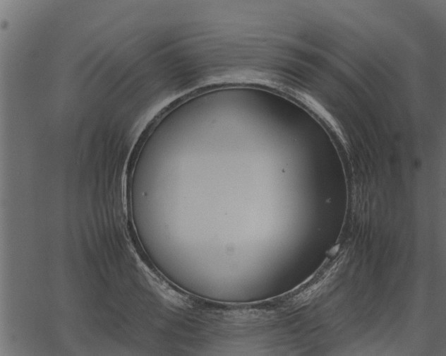 X0000066940988200603311413