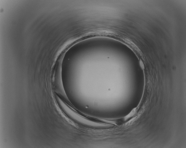 X0000066940989200603311412