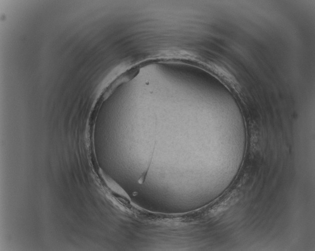 X0000066940990200603311412