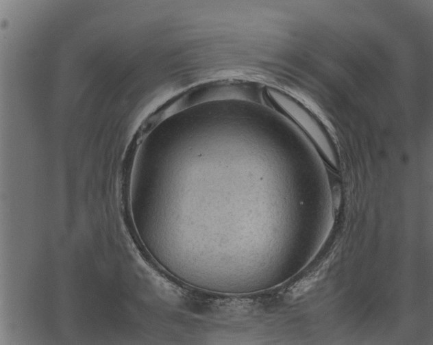 X0000066940991200603311412