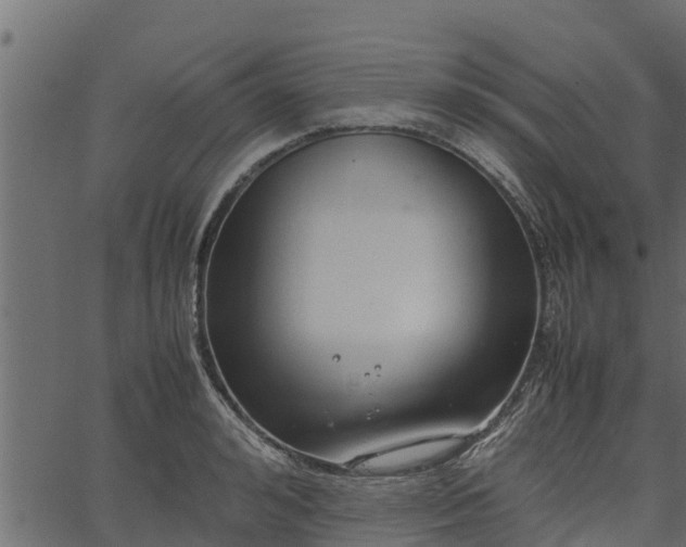 X0000066940992200603311412