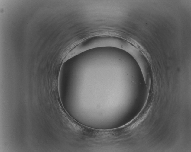 X0000066940993200603311412