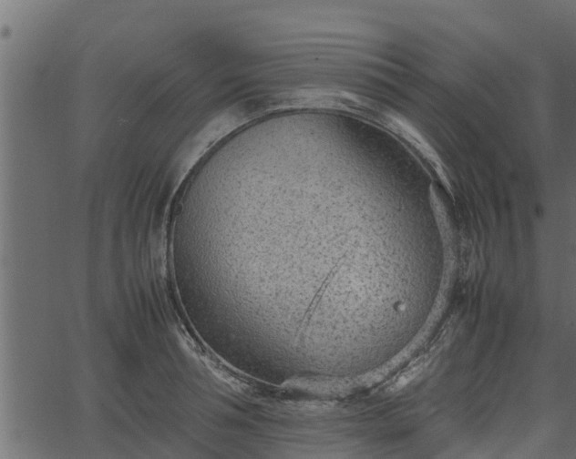 X0000066940994200603311412