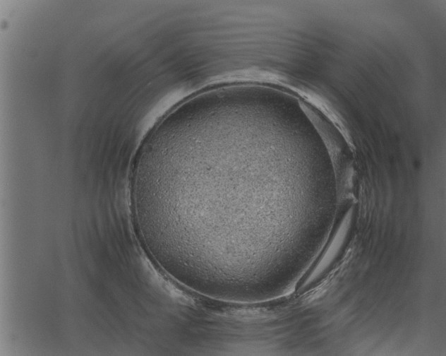 X0000066940998200603311412