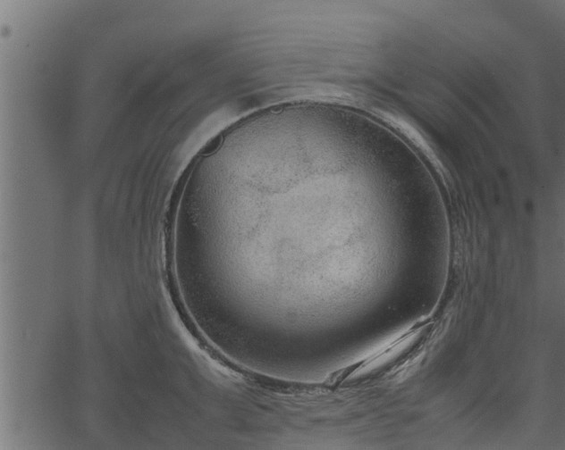 X0000066940999200603311412