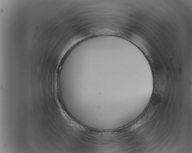 X0000066941000200603311412