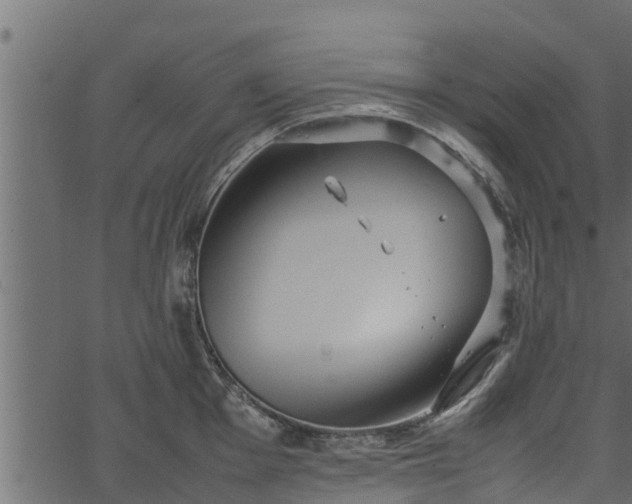 X0000066941001200603311412