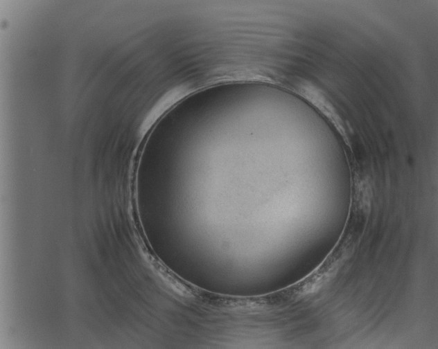 X0000066941002200603311412