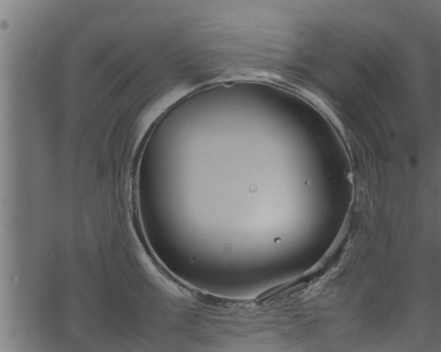 X0000066941003200603311412