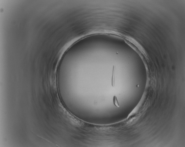 X0000066941004200603311412