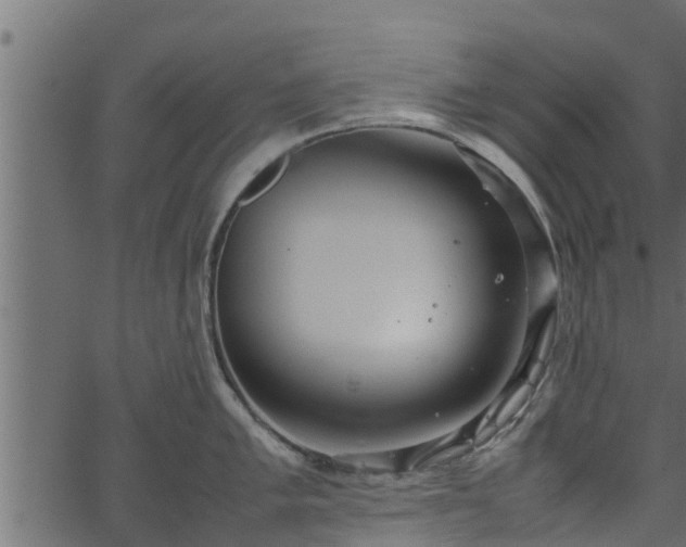 X0000066941005200603311412