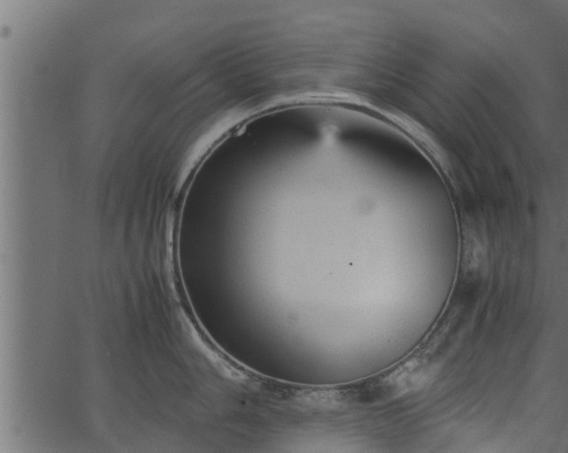 X0000066941006200603311412