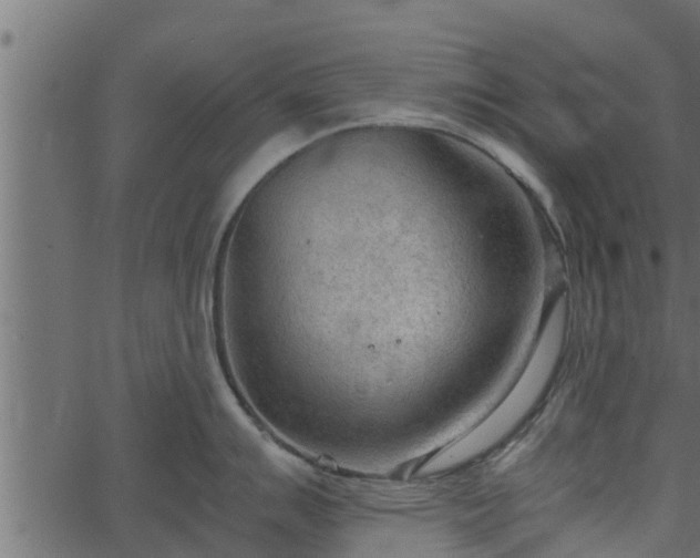 X0000066941007200603311412