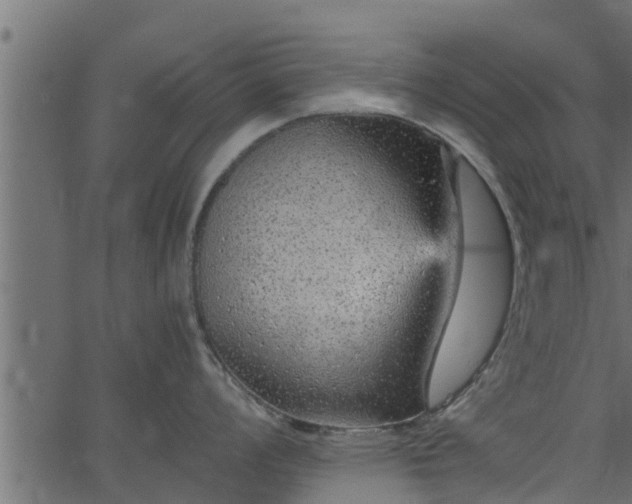 X0000066941008200603311412