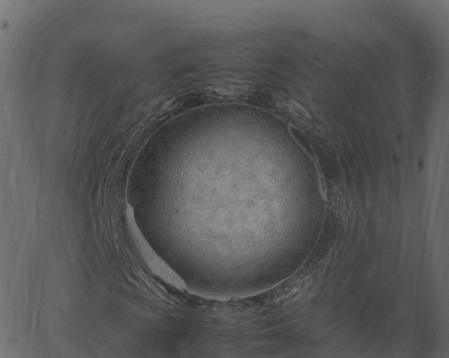 X0000066941009200603311411