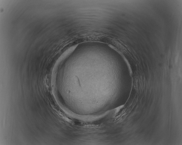 X0000066941010200603311411