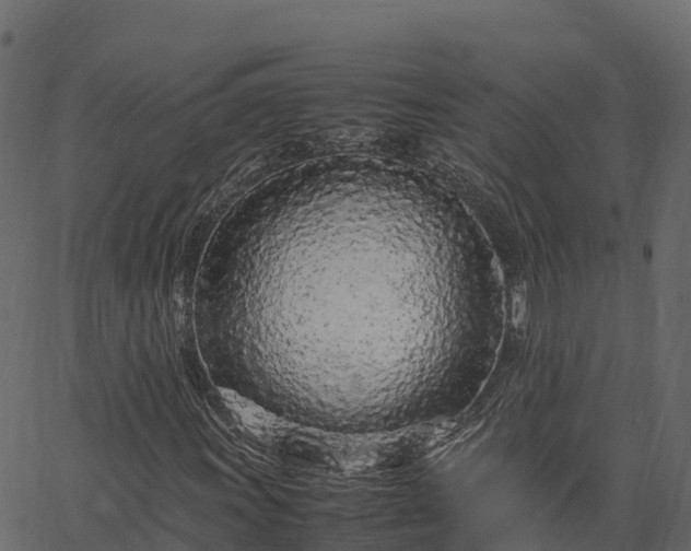 X0000066941011200603311411