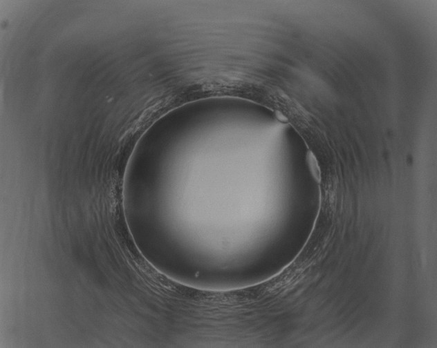 X0000066941012200603311411