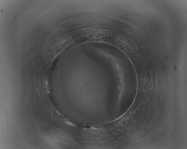 X0000066941013200603311411