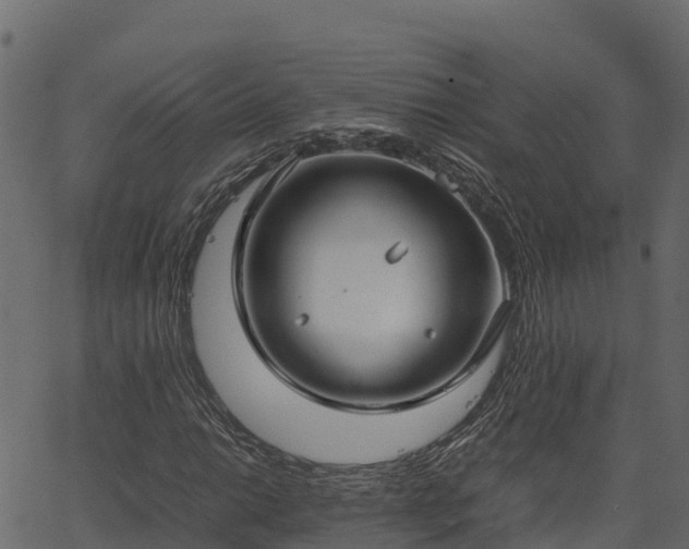 X0000066941014200603311411