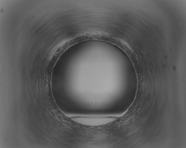 X0000066941016200603311412