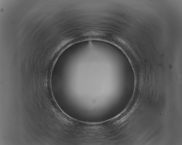 X0000066941017200603311412