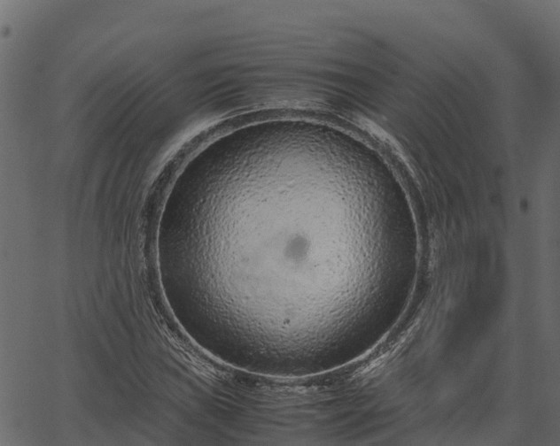 X0000066941019200603311412