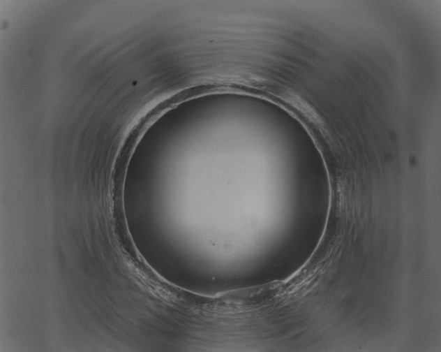 X0000066941020200603311412