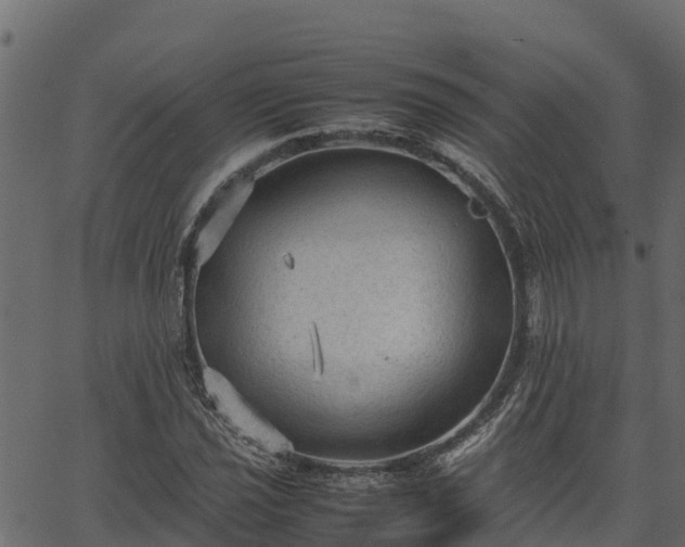 X0000066941021200603311412