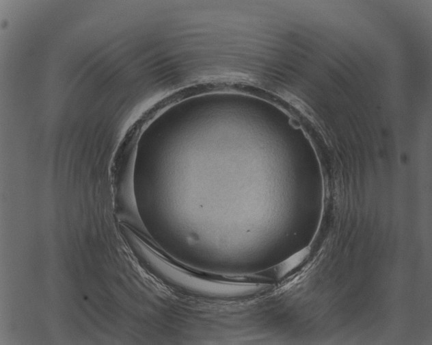 X0000066941022200603311412