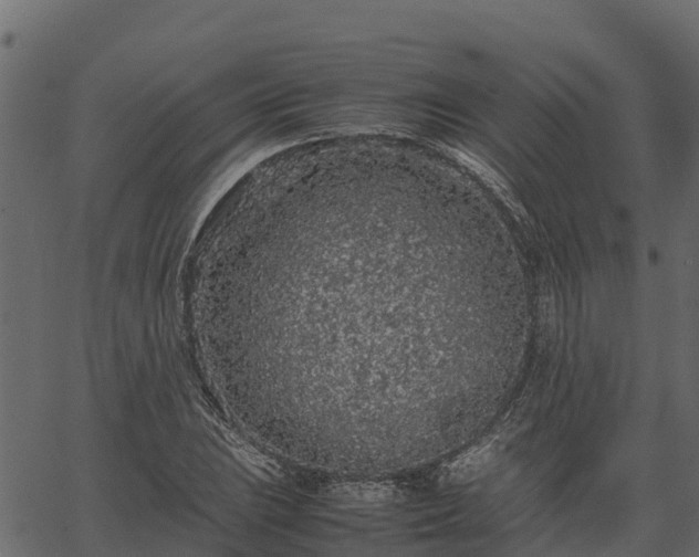 X0000066941023200603311412