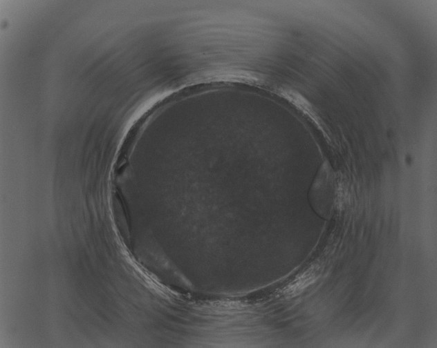 X0000066941024200603311412