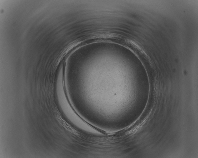 X0000066941025200603311412