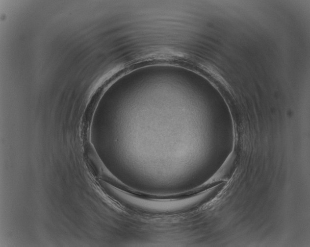 X0000066941026200603311412